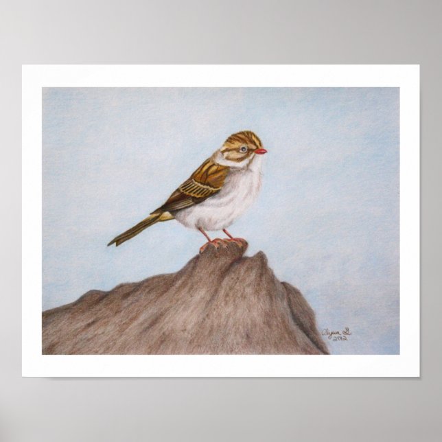 Eye on the Sparrow 11"x14" Print (Front)