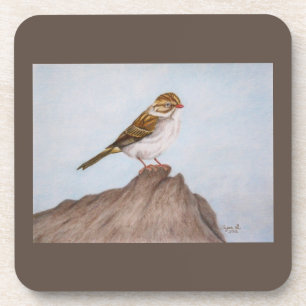 Eye on the Sparrow Coaster