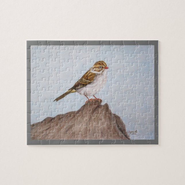 Eye on the Sparrow Puzzle (Horizontal)