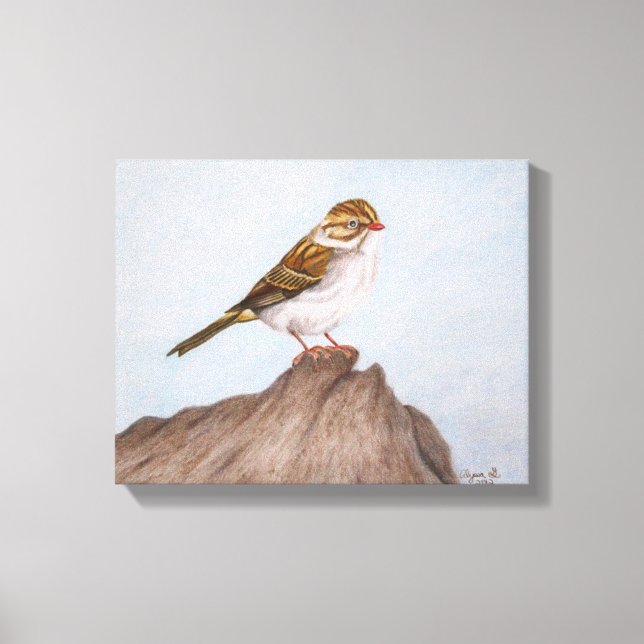 Eye on the Sparrow Wrapped Canvas (Front)