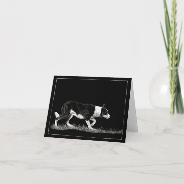 "Eye See Ewe" - Carte Collie Bordure (Devant)