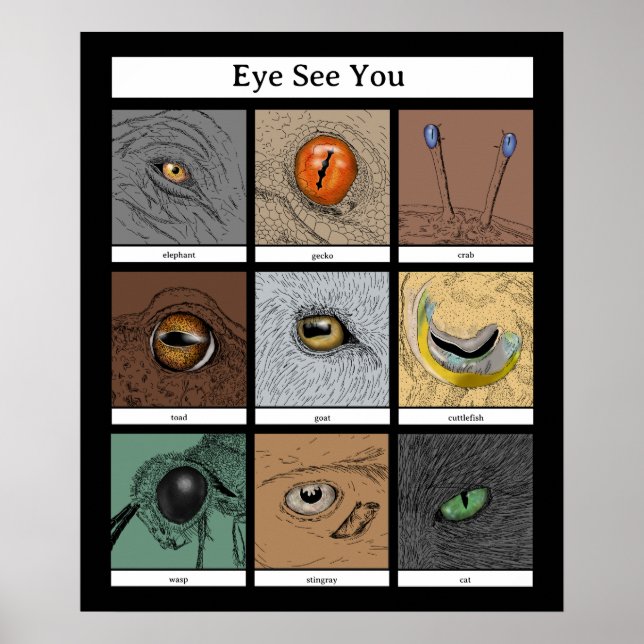 Eye See You Animal Pun, animal eyes Poster (Front)