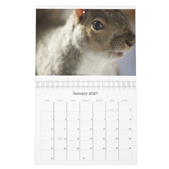 Eye Spy Photo Calendar (Jan 2027)