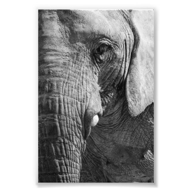 Eye Spy Photo Print (Front)