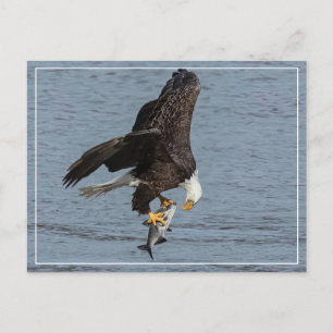 Eye To Eye Postcard