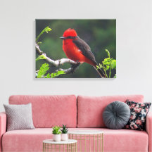 Eye to Eye Stretched Canvas Print