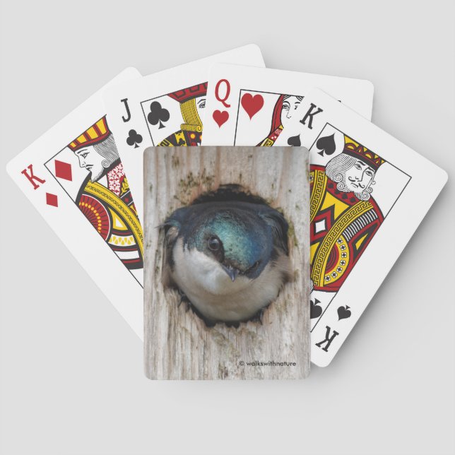Eye to Eye with a Tree Swallow in a Nestbox Playing Cards (Back)