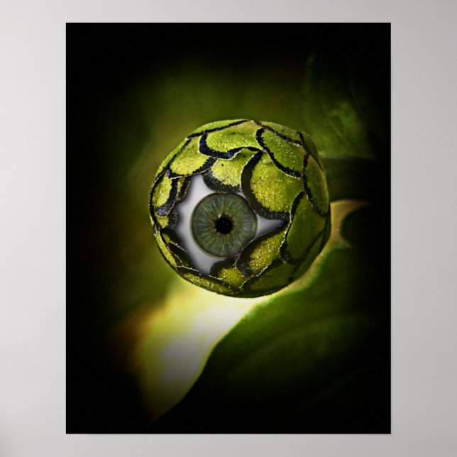 Eye will See you In The Garden, Tonight! Poster (Front)