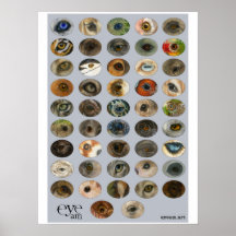 EyeAmArt Collection of Endangered Animal Eyes