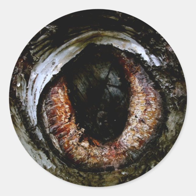 Eyeball Sticker (Front)