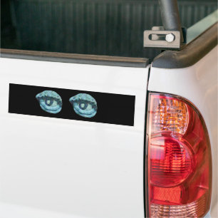 EYEBALLS BUMPER STICKER