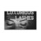 Eyelash Extensions Dark Strokes Bold Drama Look