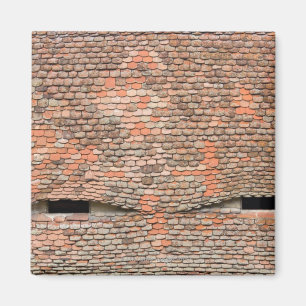 Eyelike dormer windows in a tiled roof magnet