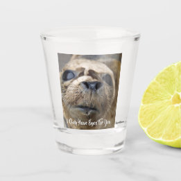 Eyes For You Harbour seal pup Shot Glass