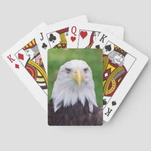 Eyes of a Bald Eagle Playing Cards