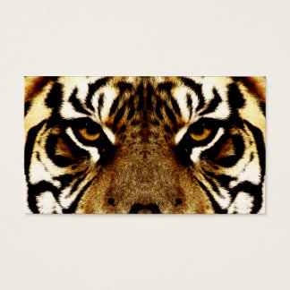 Eyes of a Tiger