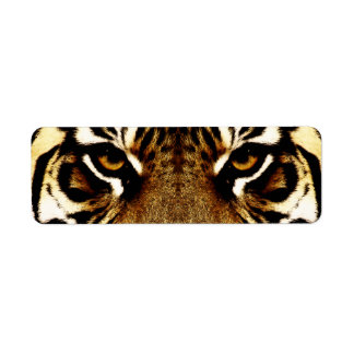 Eyes of a Tiger