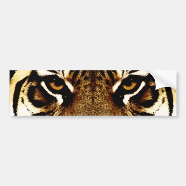 Eyes of a Tiger Bumper Sticker (Front)