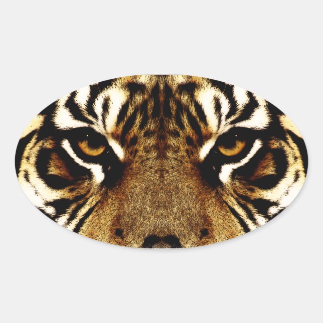 Eyes of a Tiger Oval Sticker (Front)