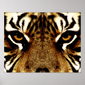 Eyes of a Tiger Poster