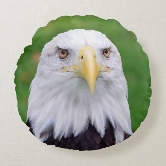 Eyes of an Eagle Round Pillow (Front)