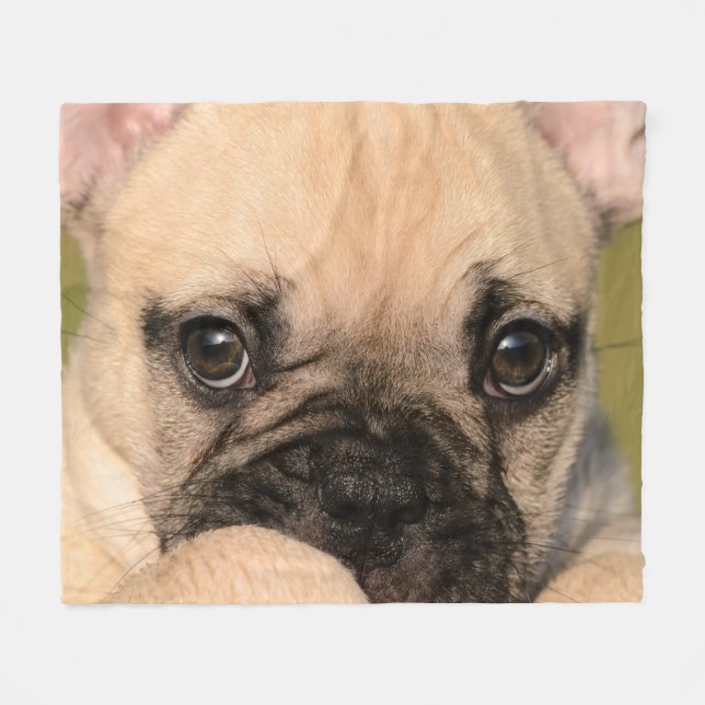 Eyes of Cute French Bulldog Puppy, comfort Fleece Blanket (Front (Horizontal))