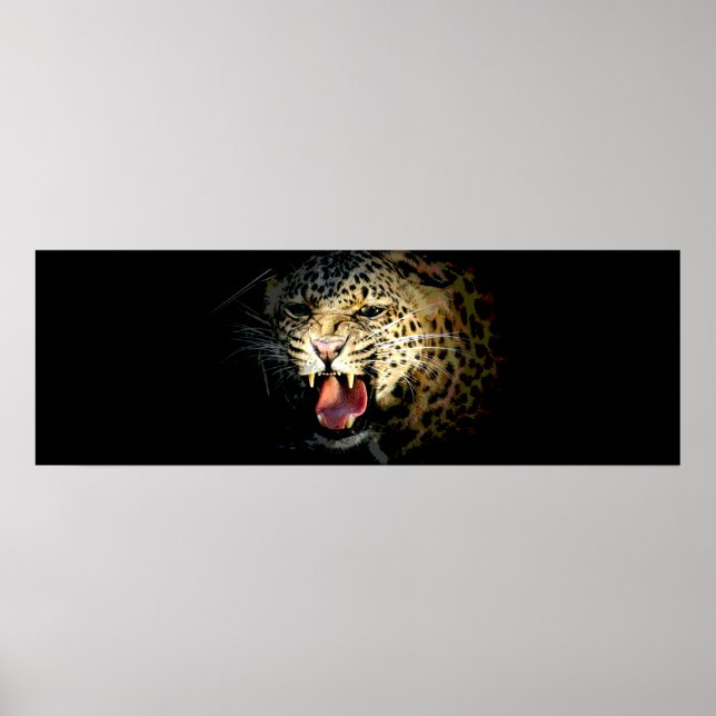 Eyes of Leopard in Shadow Door Poster Print (Front)