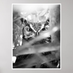 Eyes of the Forest (Great Horned Owl) Poster