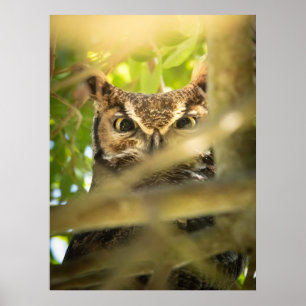 Eyes of the Forest (Great Horned Owl) Poster