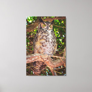 Eyes of the Night: Great Horned Owl Canvas Print
