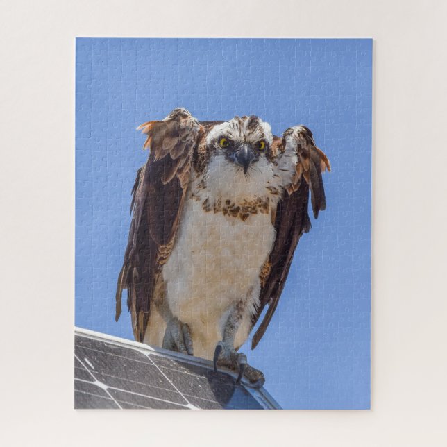 Eyes of the Osprey Jigsaw Puzzle (Vertical)