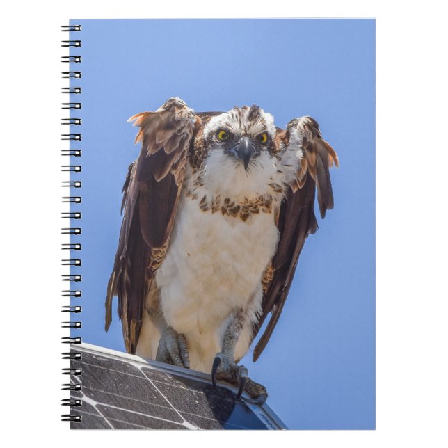 Eyes of the Osprey Notebook (Front)
