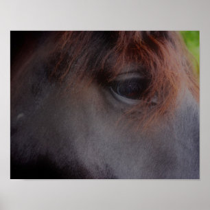 Eyes Of The Soul Horse Poster