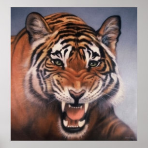 Eyes of the Tiger Poster