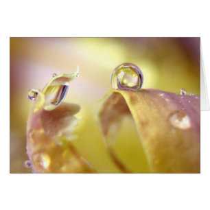 Eyes On Iris Card