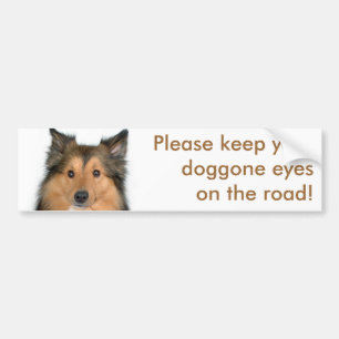 Eyes on the Road Dog Bumper Sticker