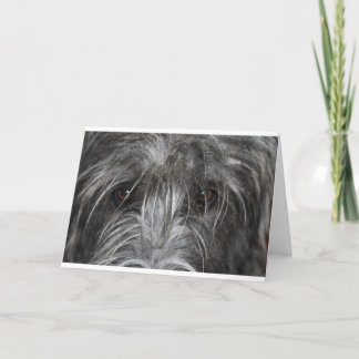 Eyes that mesmerize card