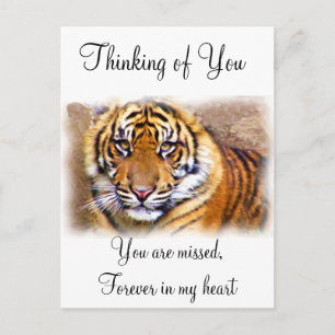 Eye's That See_ Postcard