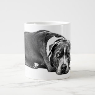 Eyes That Speak Loyalty Pitbull Mix Mug