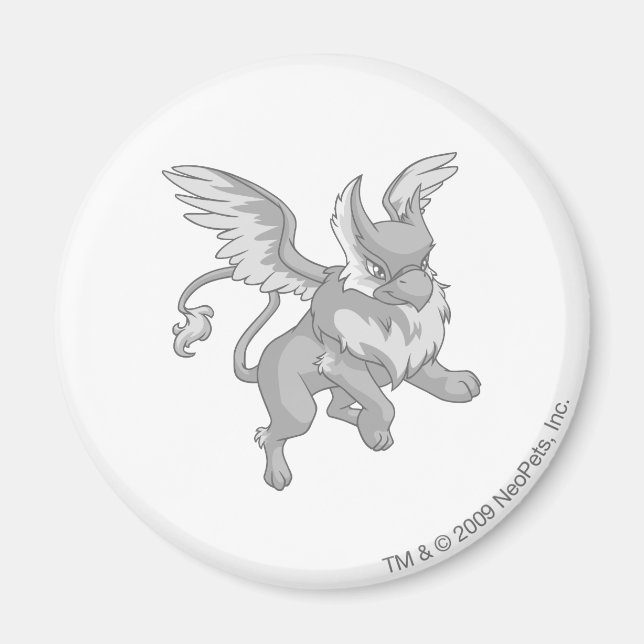 Eyrie Silver Magnet (Front)