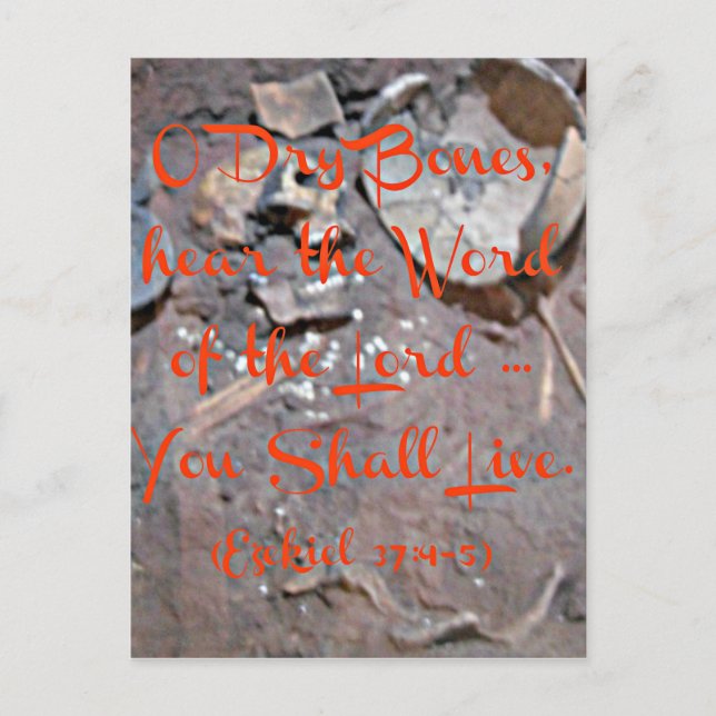 Ezekiel Bible O dry bones Postcard (Front)