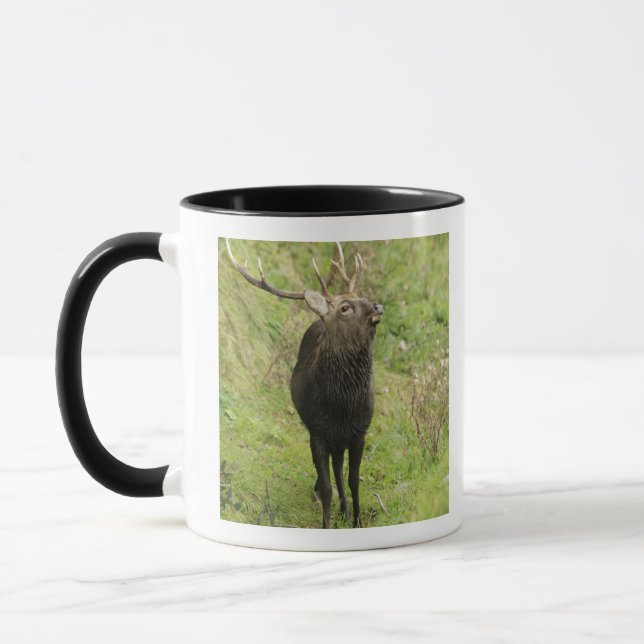Ezo Deer Mug (Left)