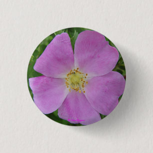 F11 Prairie Wild Rose "Rosa arkansana" 1 Inch Round Button