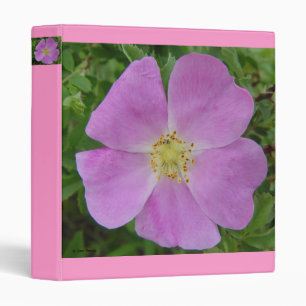 F11 Wild Rose Prairie Wild Rose "Rosa arkansana" Binder