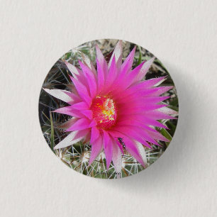 F12 Ball Cactus "Escobaria vivipara" 1 Inch Round Button