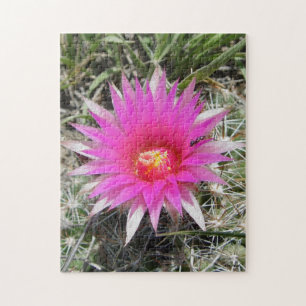F12 Ball Cactus flower "Escobaria vivipara" Jigsaw Puzzle