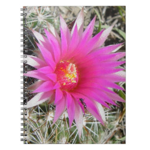 F12 Ball Cactus Flower "Escobaria vivipara" Notebook