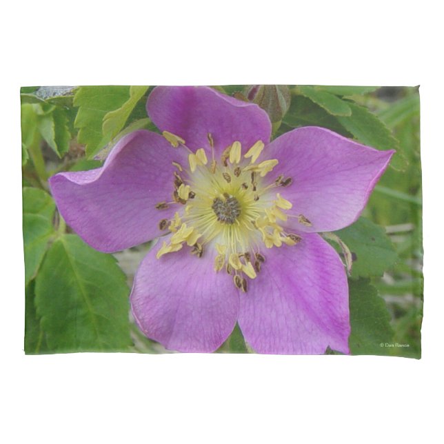 F13 Wild Rose Alberta Wild Rose Pillowcase (Front)