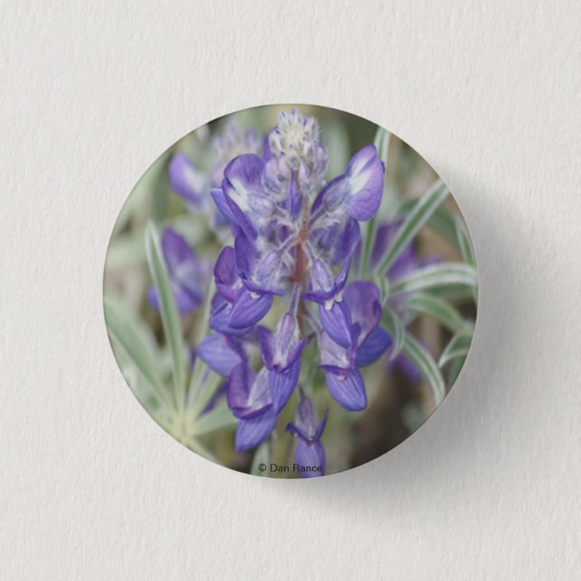 F18 Purple Wildflowers Annual Lupine 1 Inch Round Button (Front)