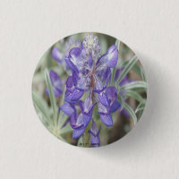F18 Purple Wildflowers Annual Lupine